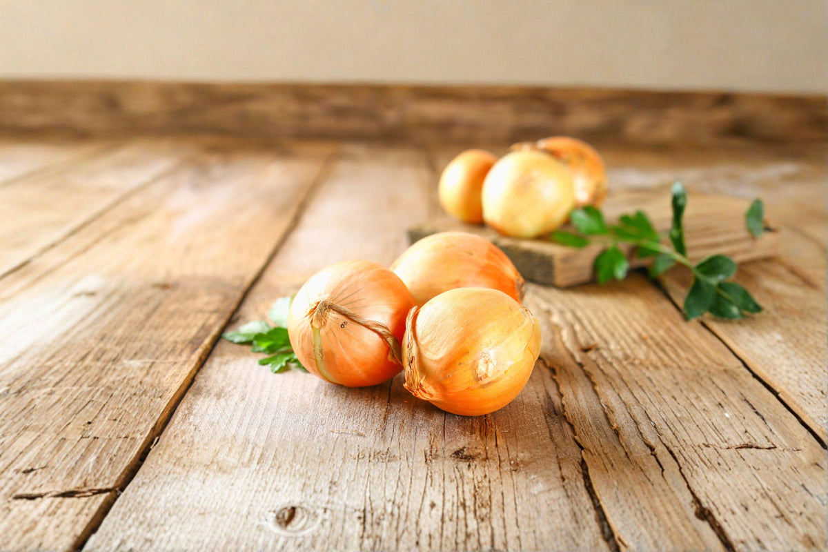 Utah Yellow Sweet Spanish Onion Seeds – Large Bulb, Sweet Flavor, Excellent Storage, Allium cepa, Non-GMO, 50 Seeds