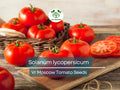 100 mg VR Moscow Tomato Seeds - Solanum lycopersicum Heirloom Disease-Resistant Slicing Tomato for Gardening and Home Growers