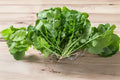 Heirloom Arugula Seeds, Rocket Salad Greens, Peppery Leafy Vegetable, Eruca vesicaria, 700 Pack