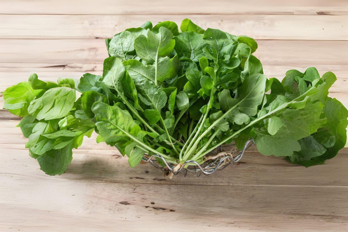 Heirloom Arugula Seeds, Rocket Salad Greens, Peppery Leafy Vegetable, Eruca vesicaria, 700 Pack