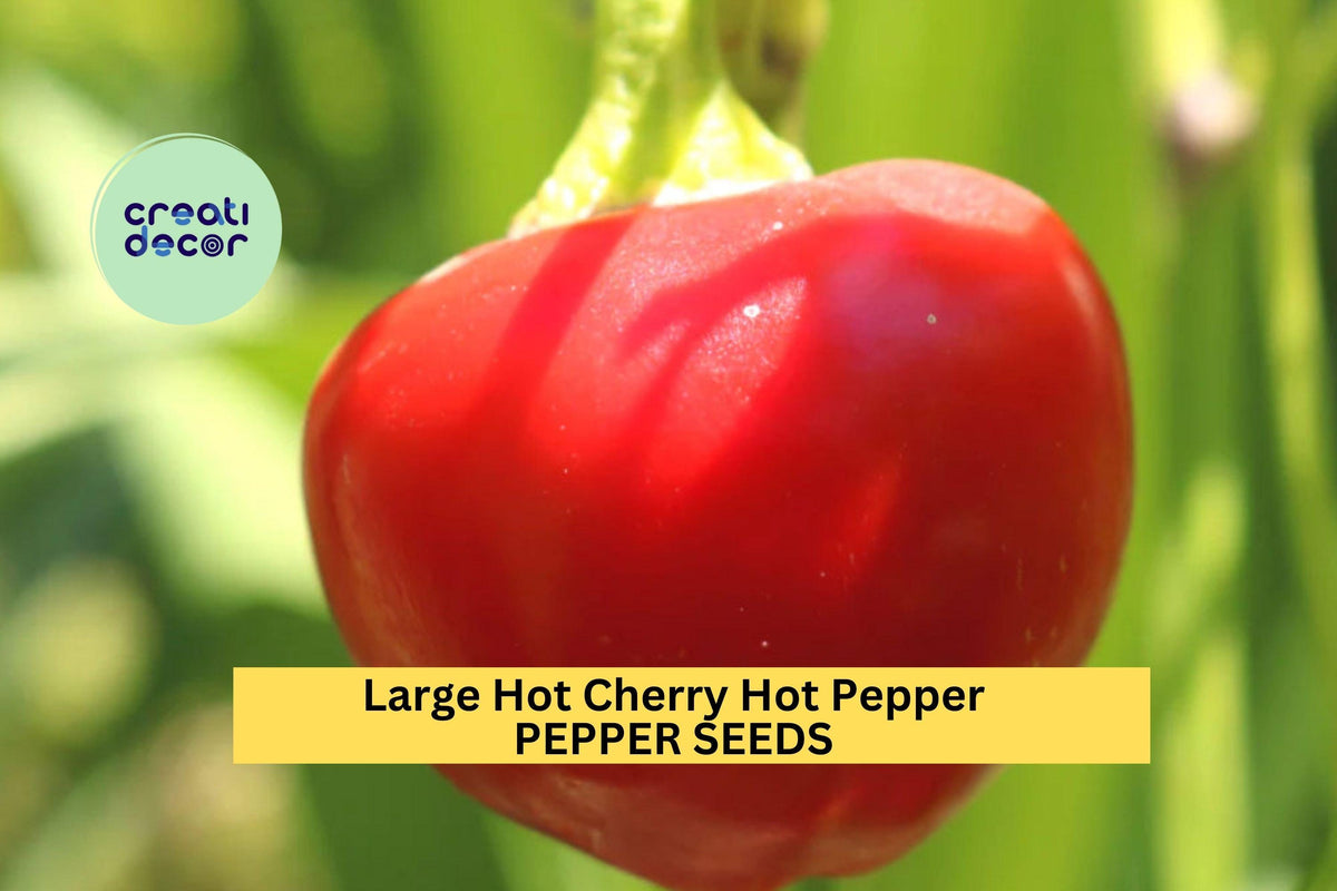 3pcs Large Cherry Hot Pepper Seeds – Spicy Round Red Peppers for Pickling, Sauces, and Home Garden Planting – Capsicum annuum