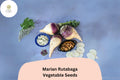 Heirloom Rutabaga Seeds 500+ Brassica napobrassica Purple Top Root Vegetable for Garden Planting