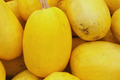 Spaghetti Squash Seeds, Non-GMO Heirloom Cucurbita pepo, Pack of 25+ for Home Garden, Vining, Edible, Nutritious Vegetables