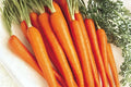 Tendersweet Carrot Seeds, Heirloom Variety, Sweet & Tender, 300 Pack, Daucus carota subsp. sativus