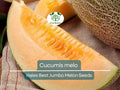 Hales Best Jumbo Melon Seeds – Heirloom Cantaloupe (Cucumis melo) for Home Garden, Juicy & Sweet, Non-GMO, 35 Seeds