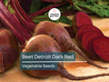 Beet Seeds Detroit Dark Red, Heirloom Non-GMO, Sweet Tender Roots for Salad, Roasting, Juicing, Beta vulgaris