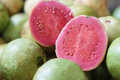 Indonesian Seedless Guava Tree | Psidium guajava | Live Fruit Plant | 1’-2’ Tall | Sweet, Juicy, Seedless Tropical Tree