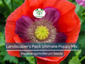 Landscaper's Poppy Seed Pack - 5000 Non-GMO Breadseed & Colorful Varieties - Papaver somniferum Garden Flowers