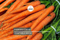 Imperator Carrot Seeds – Heirloom, Non-GMO, All-America Selections, 2,000 Seeds for Fresh Eating & Microgreens