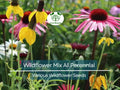 Wildflower Seed Mix 1000 All Perennial Native Heirloom Pollinator-Friendly Non-GMO Eco-Friendly