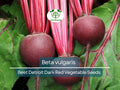 Beet Seeds Detroit Dark Red Beta vulgaris Heirloom Root Vegetable for Gardening, Salad, Soup, Pickling