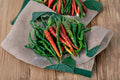 Hot Cayenne Red Long Pepper Seeds – Heirloom Capsicum annuum for Spicy Cooking & Drying