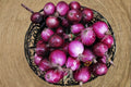 Onion Seeds – Southport Red Globe Heirloom Red Onion – Firm Globe Bulbs – Allium cepa