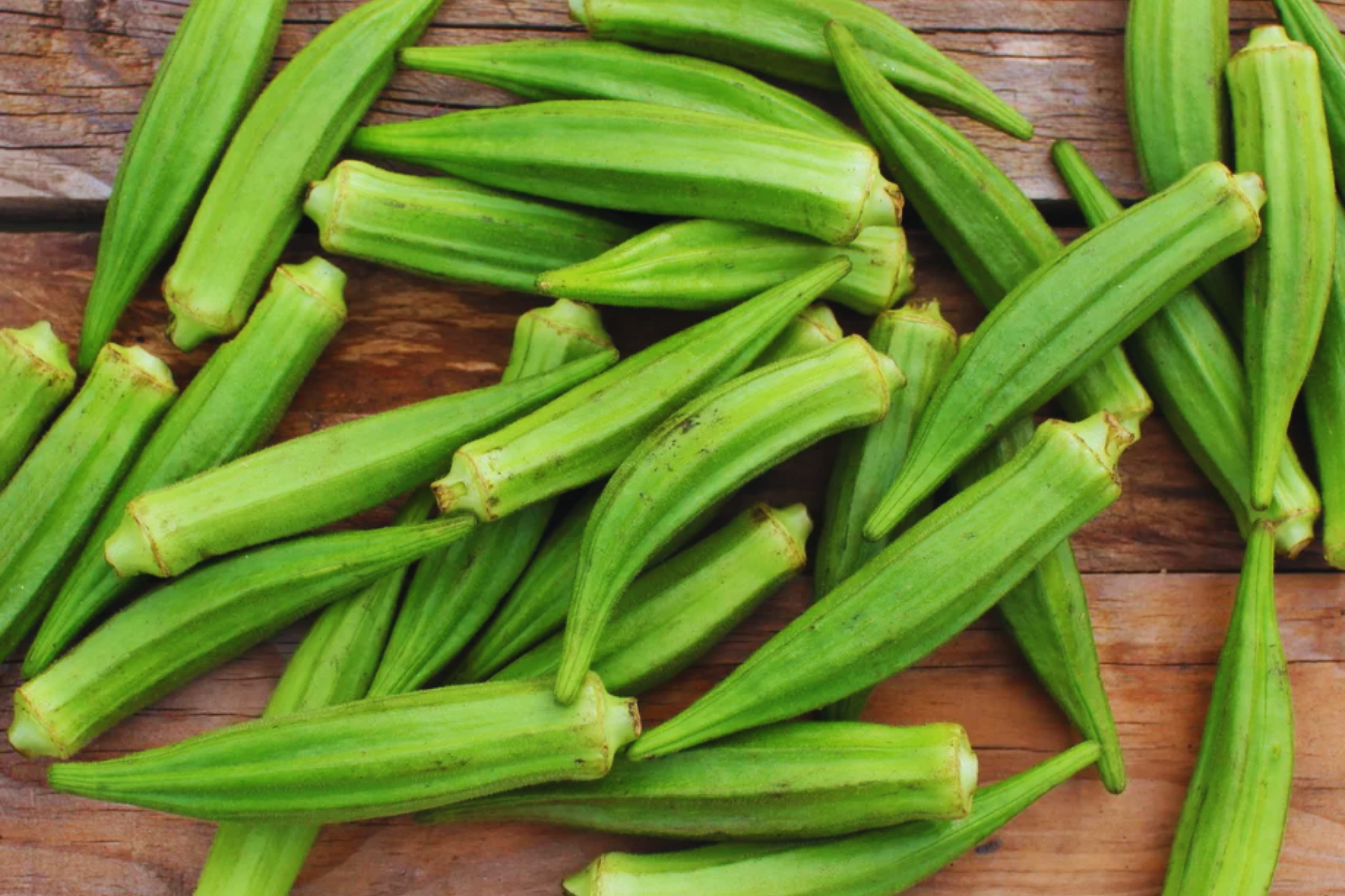 Clemson Spineless Okra Seeds – Non-GMO Heirloom Organic Vegetable Seeds – Abelmoschus esculentus – 100+ Pack