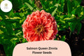 100+ Salmon Queen Zinnia Seeds | Soft Pink-Orange Blooms | Pollinator-Friendly Annual Flower | Zinnia elegans for Gardens & Cut Flowers