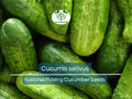 Cucumber Seeds National Pickling Heirloom Cucumis sativus for Pickling & Gardening, 35 Seeds