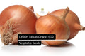 Onion Texas Grano 502 Seeds – Non-GMO, Sweet Globe Onion, Allium cepa, Fast-Growing, Mild Flavor, Ideal for Fresh Use
