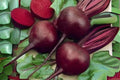 Detroit Dark Red Beet Seeds - Heirloom Beta vulgaris, 40 Pack, Edible Roots & Greens, Garden, Container, Roasting, Pickling