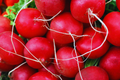 Radish Seeds | Non-GMO Vegetable Garden Seeds | Fast-Growing Crisp Varieties | Raphanus sativus