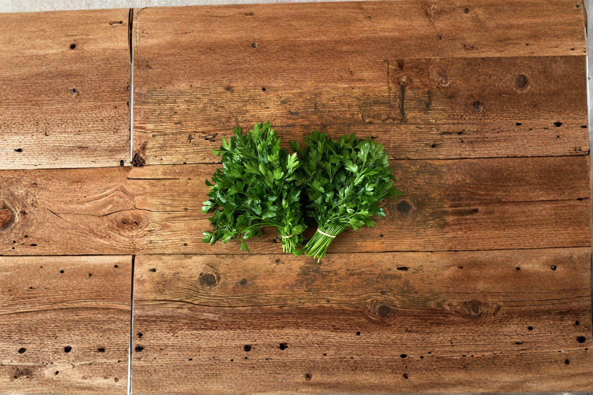 Parsley Seeds – Dark Green Italian Giant Flat-Leaf Herb, Petroselinum crispum, High-Yield Culinary Herb, Easy to Grow