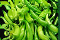 Sonora Mild Hot Pepper Seeds, 250mg, Smooth Chili, Capsicum annuum, Mild Heat, For Salsas & Mexican Cuisine