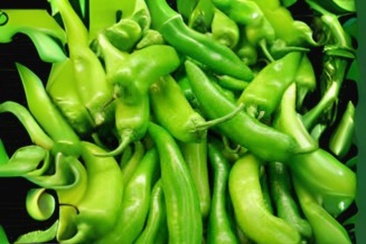 Sonora Mild Hot Pepper Seeds, 250mg, Smooth Chili, Capsicum annuum, Mild Heat, For Salsas & Mexican Cuisine