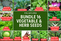 Vegetable & Herb Seed Bundle – 16 Varieties for Home Gardening, Non-GMO, Easy to Grow, Includes Kale, Basil, Spinach, Cabbage, Cilantro