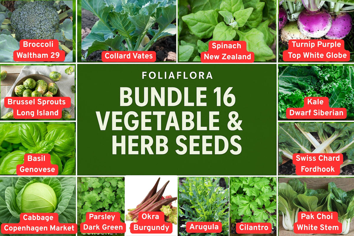 Vegetable & Herb Seed Bundle – 16 Varieties for Home Gardening, Non-GMO, Easy to Grow, Includes Kale, Basil, Spinach, Cabbage, Cilantro