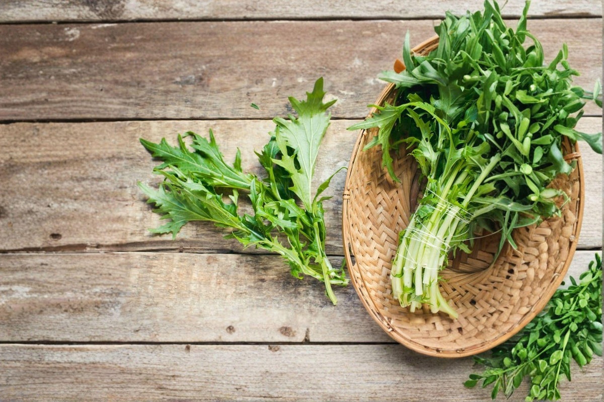 Mizuna Seeds – Early Japanese Mustard Green, Brassica rapa var. nipposinica, Fast-Growing, Mild & Feathery Leaves, 300 Seeds