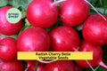 3pcs Cherry Belle Radish Seeds – Fast Growing Round Radish for Salad & Container Gardening – Raphanus sativus