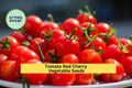 3pcs Red Cherry Tomato Seeds – Sweet & Juicy Mini Solanum lycopersicum for Snacking, Salads, Container Gardening