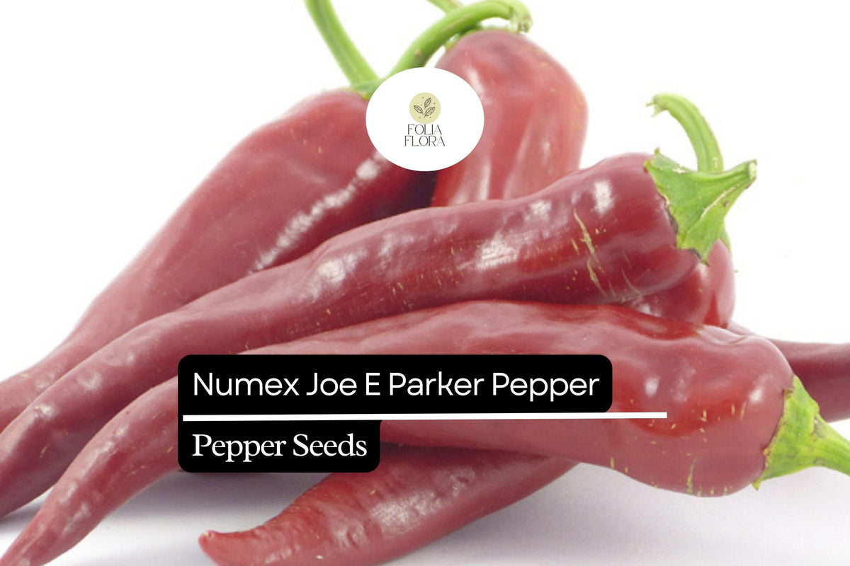 25 NuMex Joe E. Parker Pepper Seeds – Capsicum annuum, Mild Hatch-Style Chile, Heirloom, Non-GMO, 5,000–6,000 Scoville