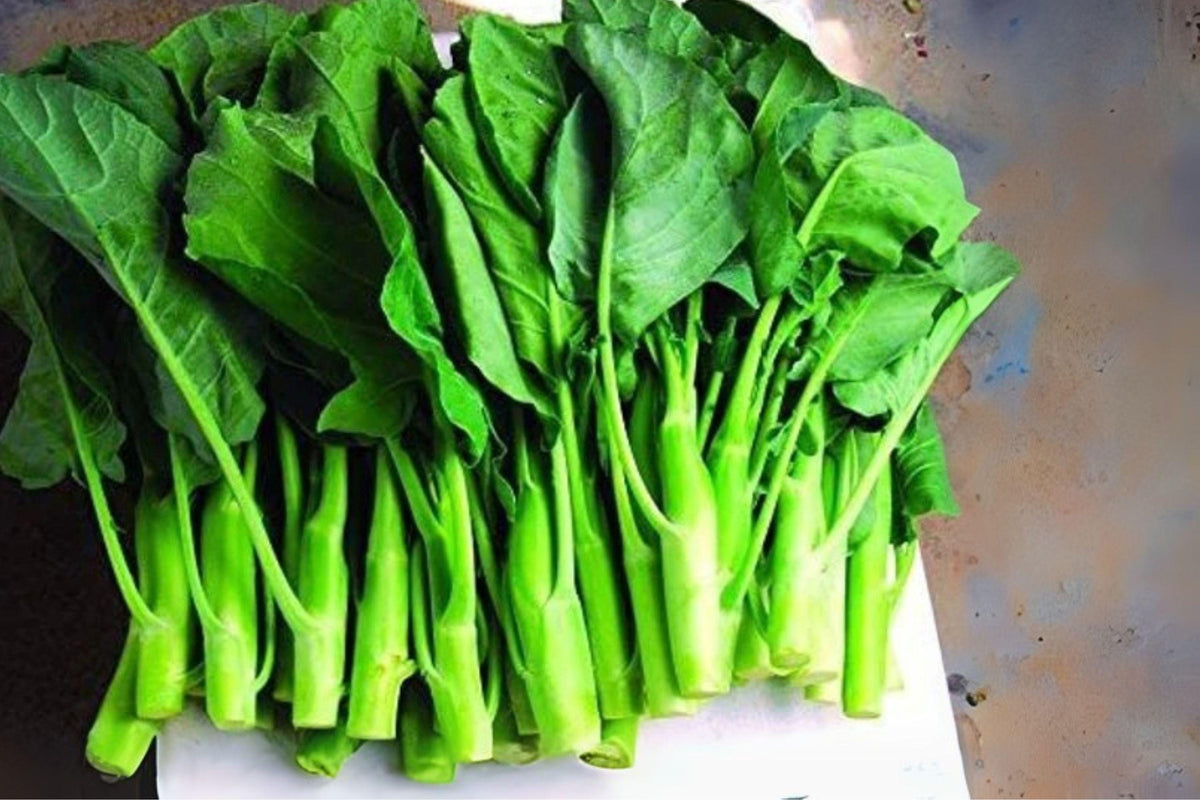 Kailaan Seeds 150 Pack Chinese Broccoli Gai Lan Brassica oleracea var. alboglabra Heirloom Vegetable