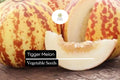 10 Seeds Tigger Melon (Cucumis melo) – Heirloom Striped Melon with Fragrant White Flesh, Compact Vine, Sweet Flavor