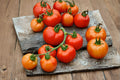 Tomato Seeds – Rutgers Heirloom Variety – Classic Red Flavor – Solanum lycopersicum – Canning & Fresh Use