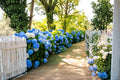 Blue Hydrangea Plants – 2 Live Flowering Shrubs, Hydrangea macrophylla, Blue Blooms, Deciduous Garden Plants