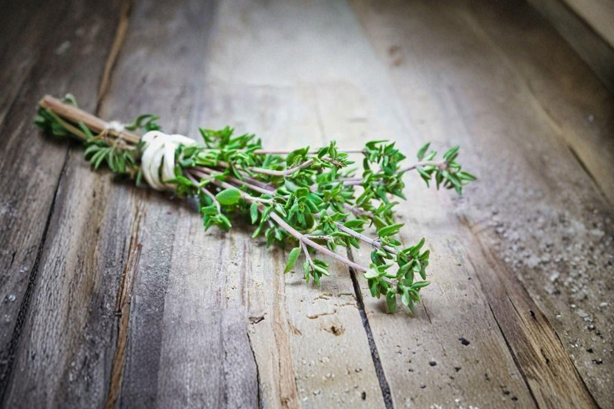 Thyme Seeds 350 Pack | Culinary Herb | Thymus vulgaris | Perennial, Aromatic, Pollinator-Friendly