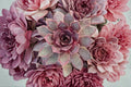 Giant Hens and Chicks ‘Copper Canyon’ | Sempervivum Chick Charms | Cold Hardy Succulent
