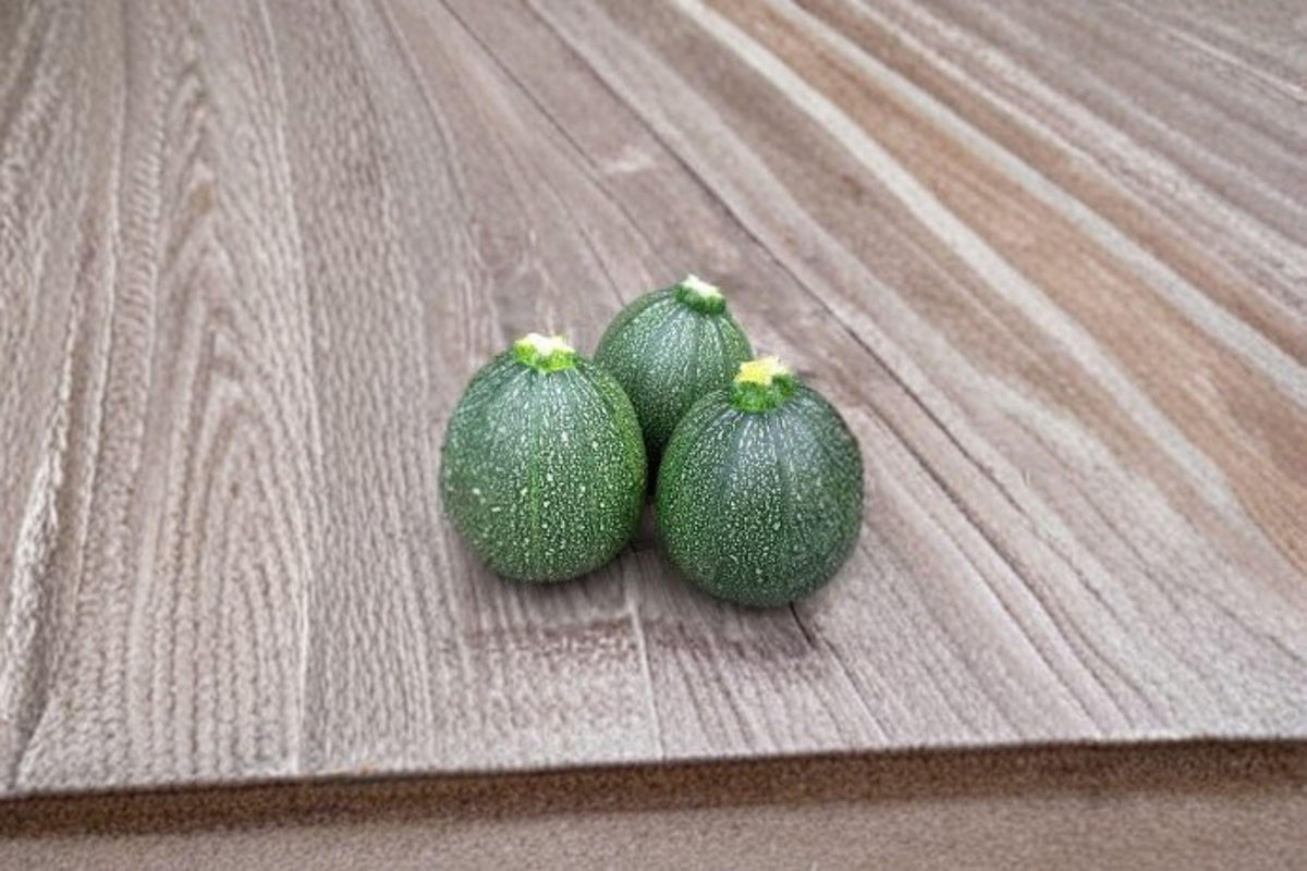 Round Zucchini Seeds – Heirloom Cucurbita pepo, Compact Bush, Tender Flesh, 10 Seeds
