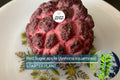 Red Sugar Apple Tree Live Fruit Tree 3-4 ft | Tropical Fruit Tree | Annona squamosa | Easy Care, Flowering Soon