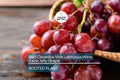 Organic Red Catawba Grape Vine - Vitis Labrusca, Self-Pollinating, Hardy Wine & Juice Grape Plant, 12"+ Tall