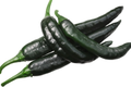 25 Seeds Pasilla Bajio Chilaca Pepper Seeds - Capsicum annuum, Mild Smoky Mexican Chili for Salsas & Sauces