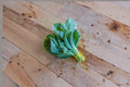Collards Seeds – Champion 300 Heirloom Southern Green, Brassica oleracea var. viridis, Cold & Heat Tolerant, Large Tender Leaves