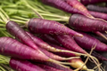 1000 Purple Carrot Seeds - Heirloom Non-GMO Vegetable Seeds for Planting - Deep Purple Root, Sweet Flavor, Daucus carota