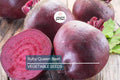 500 Ruby Queen Beet Seeds – Non-GMO Heirloom Vegetable Seeds for Canning & Pickling | Tender, Flavorful, Full Sun Cultivar