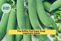 3pcs of 5g Sugar Snap Pea Seeds – Edible Pods for Snacking, Stir-Fry, Pisum sativum var. macrocarpon
