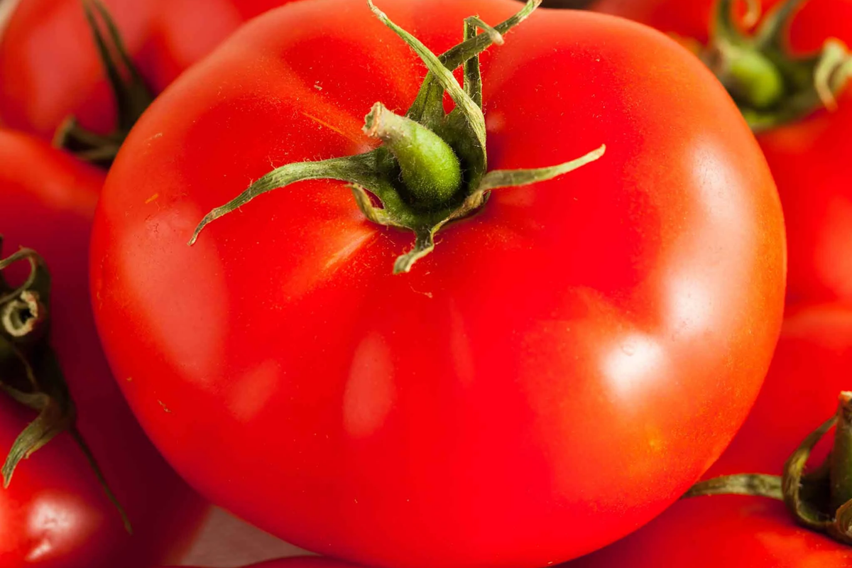 Tomato Seeds Beefsteak Heirloom Non-GMO Solanum lycopersicum Large Juicy Fruits for Slicing & Sandwiches
