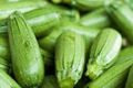 Dark Green Zucchini Seeds, Cucurbita pepo, High-Yield, Non-GMO, Summer Squash, Easy-Grow Vegetable Garden Seeds