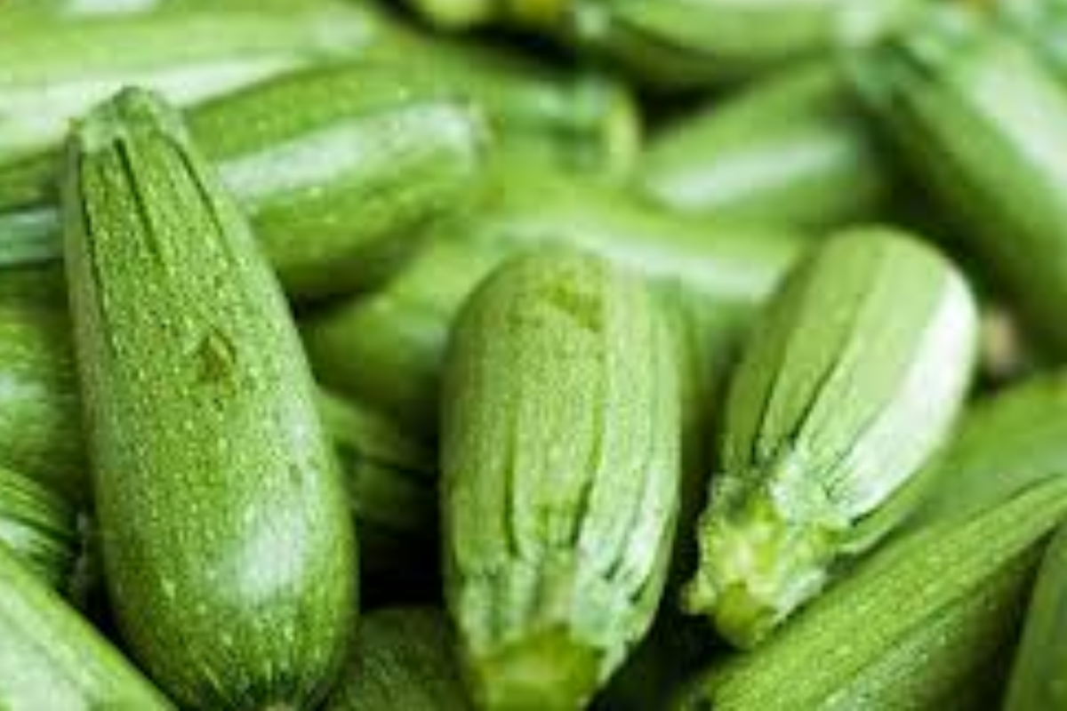 Dark Green Zucchini Seeds, Cucurbita pepo, High-Yield, Non-GMO, Summer Squash, Easy-Grow Vegetable Garden Seeds