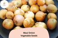 500+ Maui Onion Seeds, Sweet Allium cepa, Golden-yellow Bulbs, Mild Flavor, Garden Planting, Gourmet Cooking, Salad & Grilling